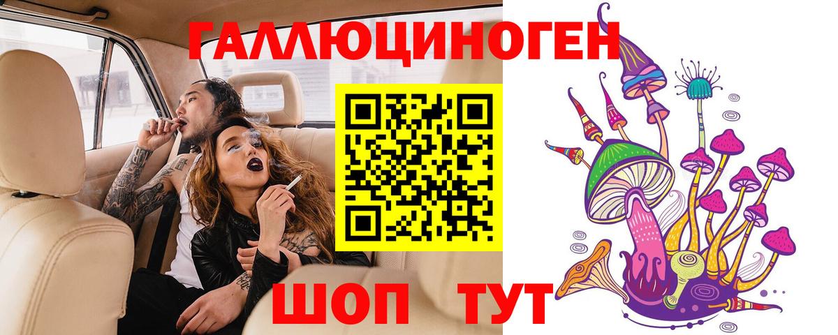 Зима  Галлюциногенные грибы Psilocybine cubensis  Вход с VPN 
