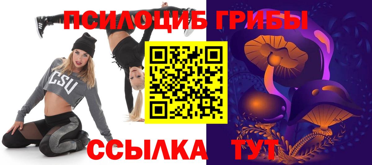 Галлюциногенные грибы GOLDEN TEACHER Зима